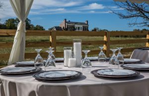 Read more about the article Wedding Venues: Renting Versus Hosting a Backyard Wedding